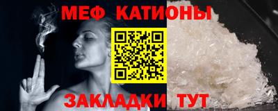 стаф Донской