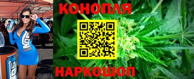 стаф Донской