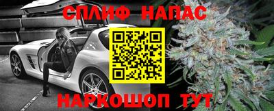 Альфа ПВП Дубна