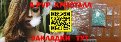 стаф Донской